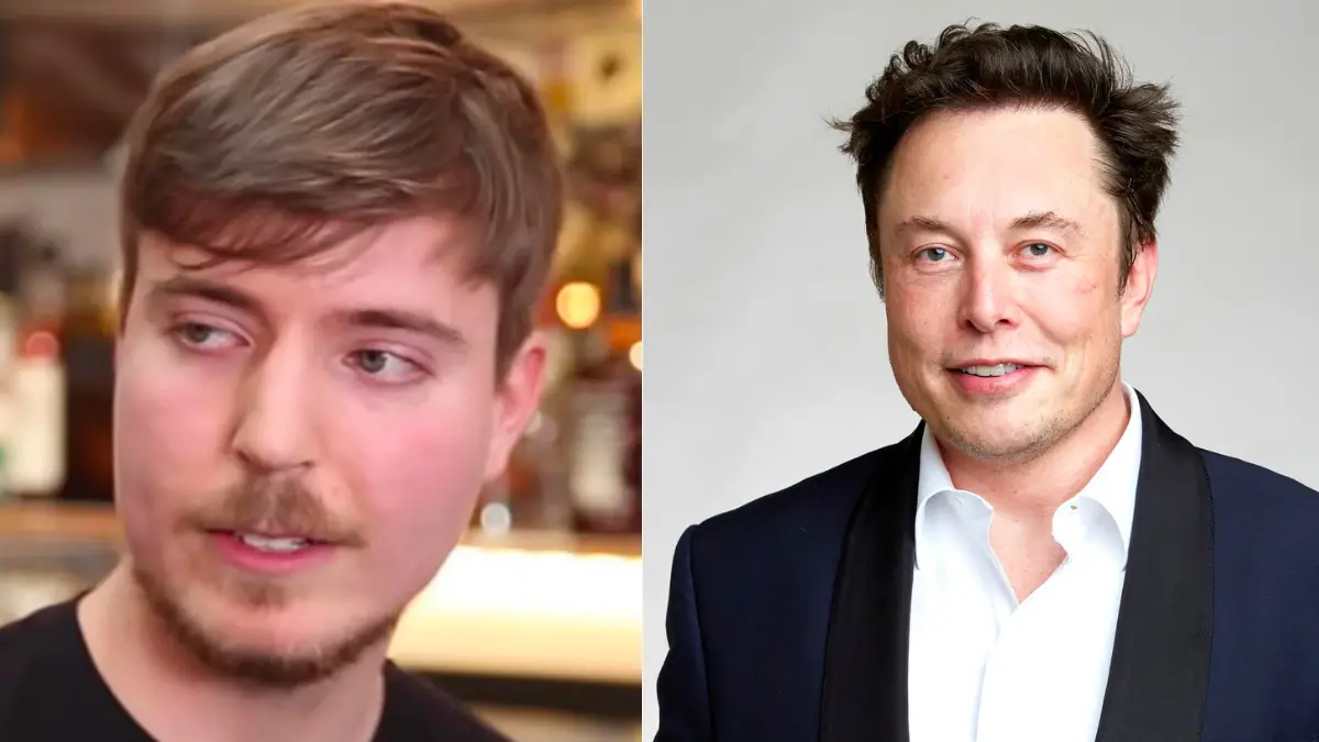 Mr Beast Asks If He Can Be Twitter CEO, Elon Musk Replies