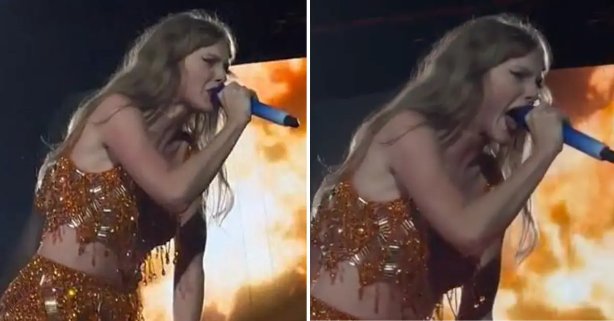 Taylor Swift Interrupts Concert To Yell At Security Guard In Audience