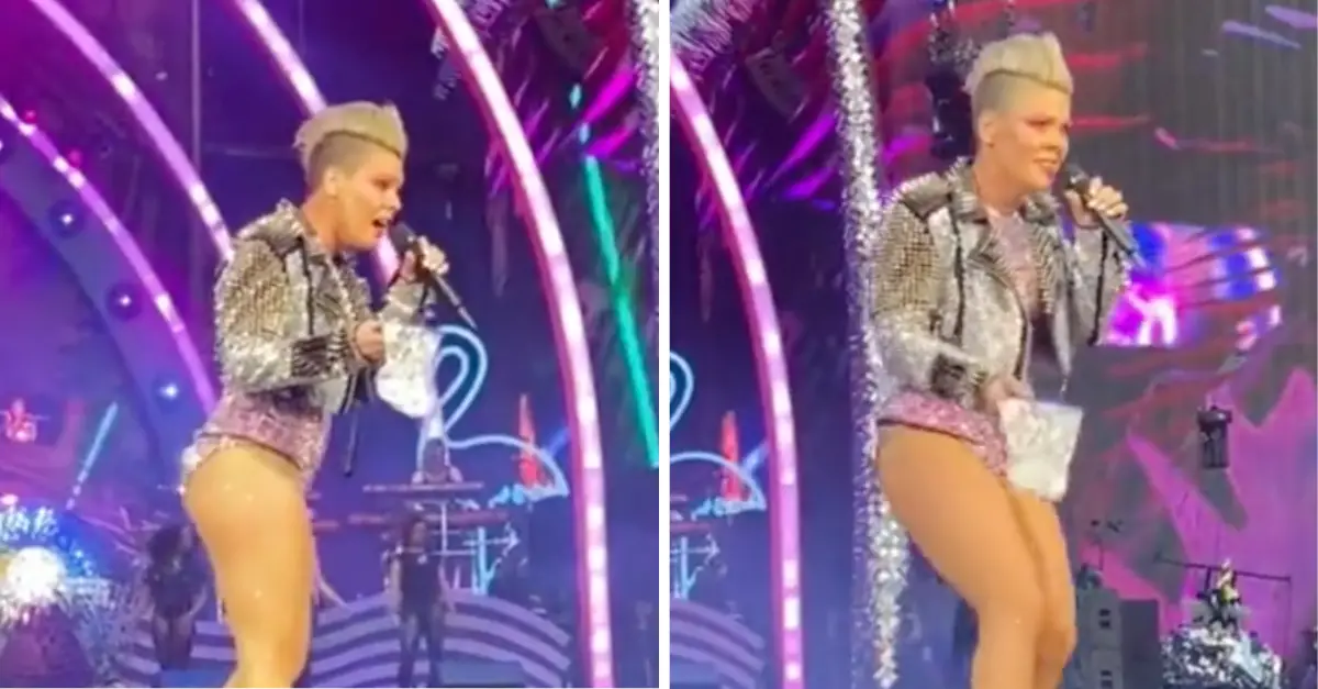 Pink Left Stunned After Fan Throws Mum’s Ashes On Stage