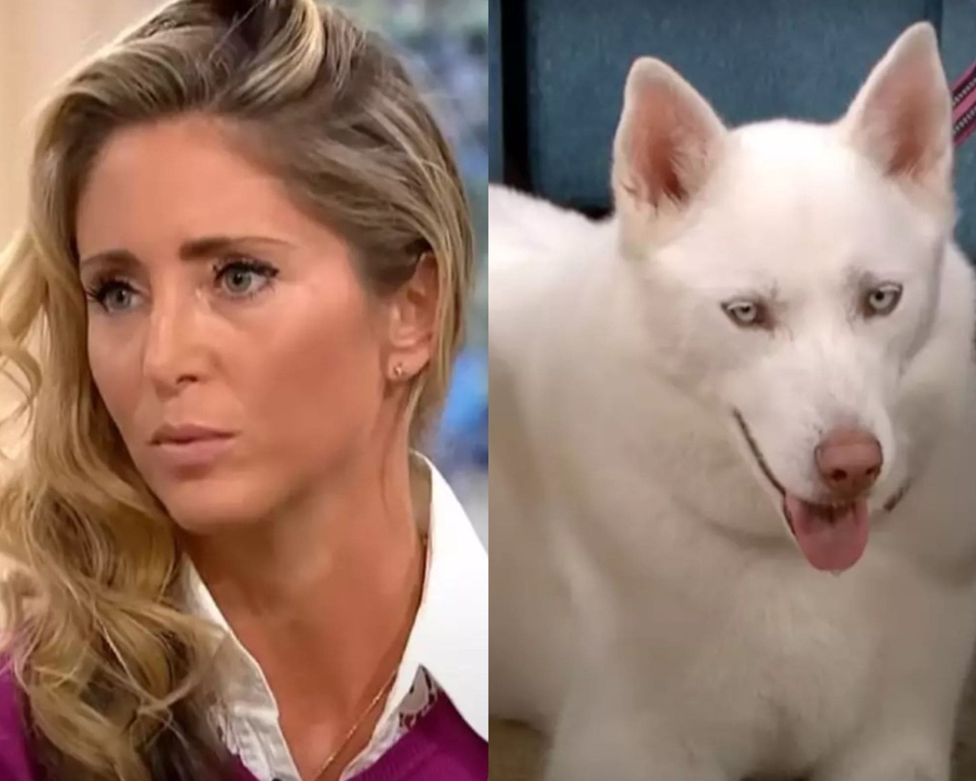 Woman Proven Wrong in ‘Seconds’ On Live TV After Claiming Her Dog Was Vegetarian