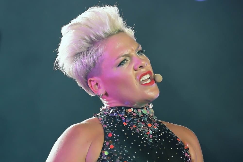 Pink Fan Told They Needed To Spend $120 On Concert Ticket For Newborn, Internet Left Divided