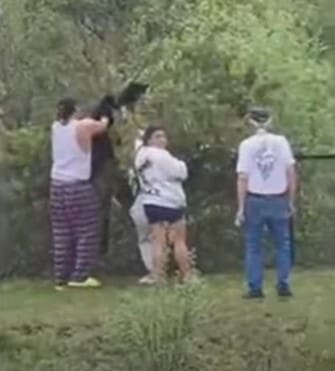 People Caught on Camera Removing Bear Cubs From Tree to Take Selfies With Them