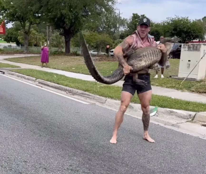 Florida Man Captures 8 Foot Alligator With Bare Hands and Feet