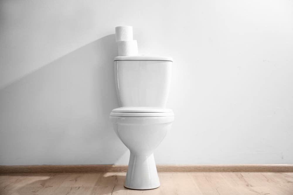 Doctor Warns Against Sitting on Toilet for More Than 10 Minutes