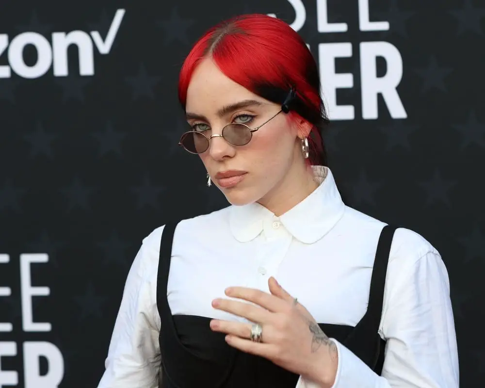 Billie Eilish Fans Shocked to See They Were Added to Singers Close Friends List