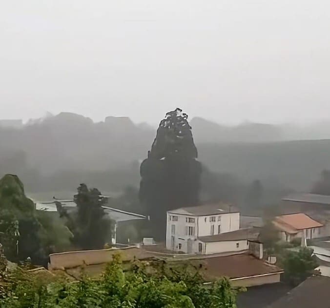 Watch As A Lightning Bolt Completely Destroys Ancient Tree