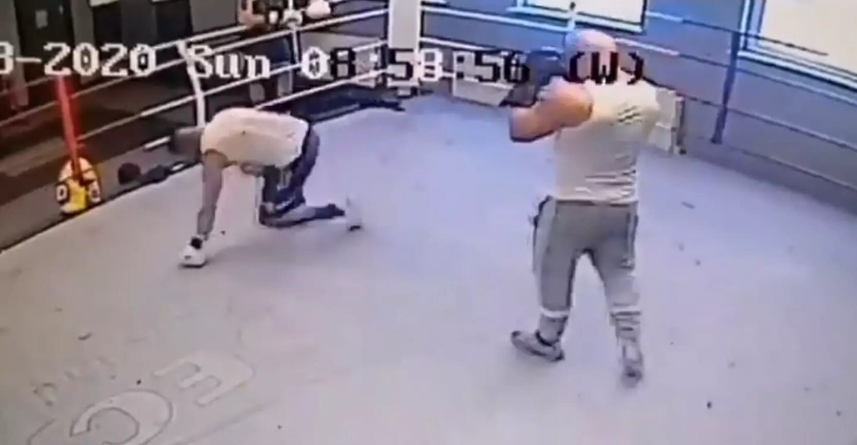 Internet Troll Actually Showed Up To World Champion Boxer’s Gym… It Went As Well As You’d Expect