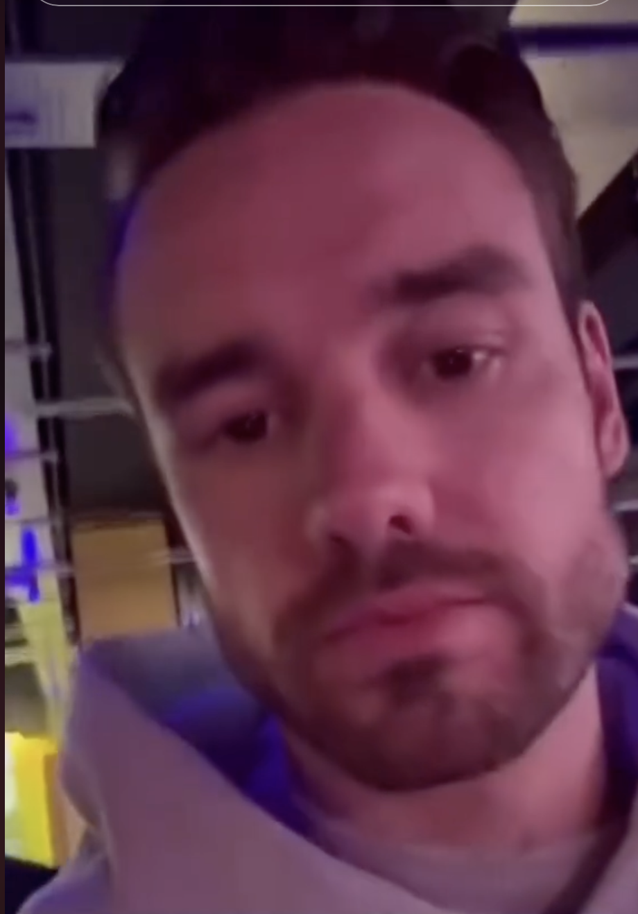 Liam Payne’s Heartbreaking Final Public Message About 7-Year-Old Son Bear