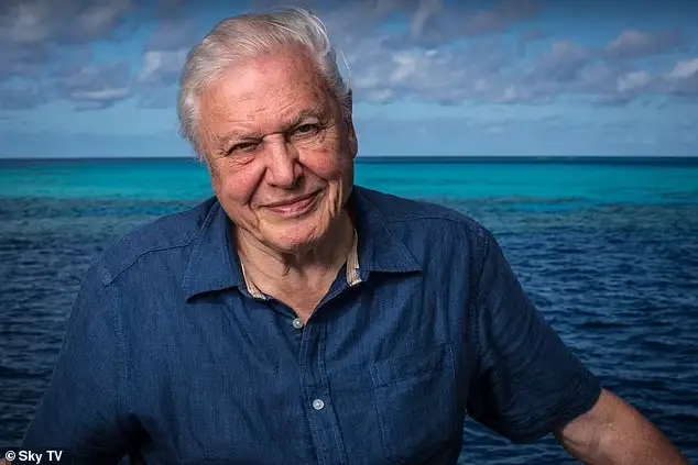 David Attenborough Names One Food To Cut Out If You Want To Live Past 100