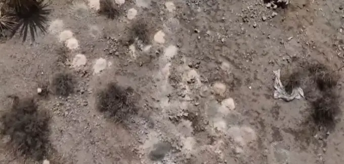 Everything We Know About Las Vegas Horror As 300 Piles Of Human Remains Found