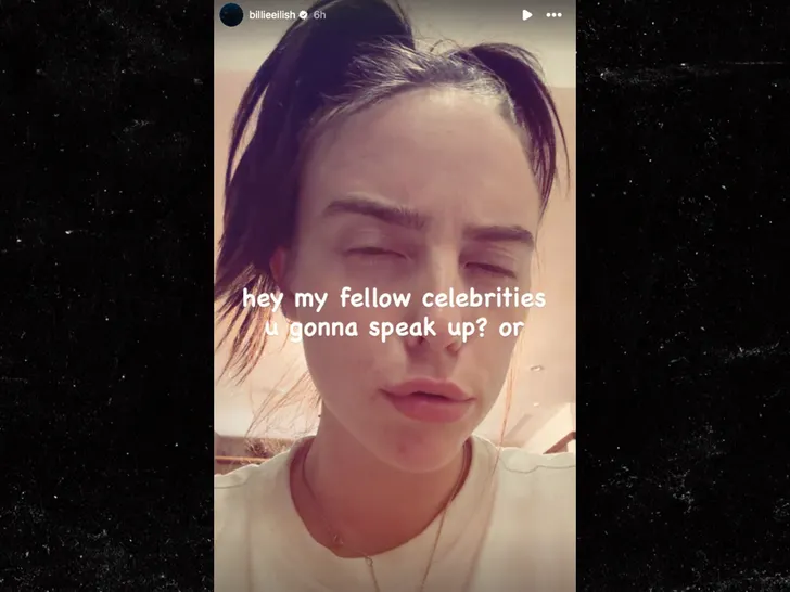 Billie Eilish Calls Out Celebrities Who Are Staying Silent About ICE
