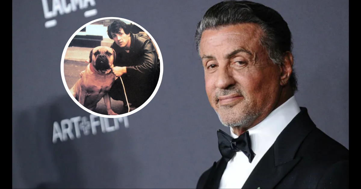 Sylvester Stallone turned down $360K and sold his dog for ‘Rocky’